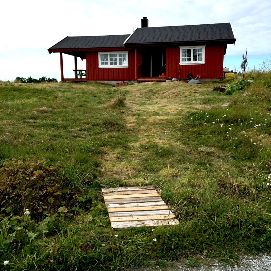 2016-08-04 17.36.16.jpg